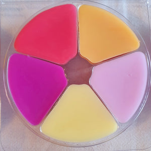 SOL DE JANEIRO INSPIRED WHEEL
